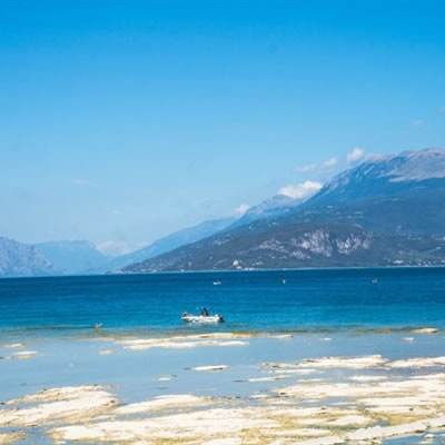 安博体育app官方下载入口截图