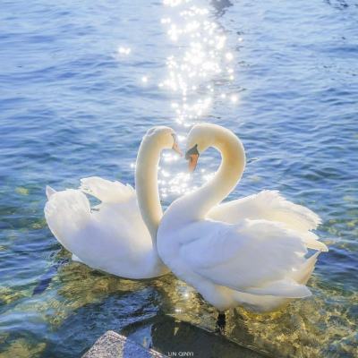 42982金牛网论坛下载手机版