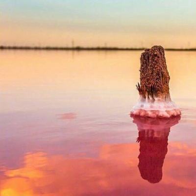 pg娱乐电子游戏截图