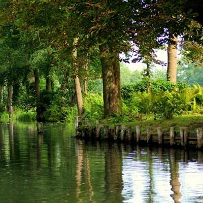 开元ky7818老版本手机app下载