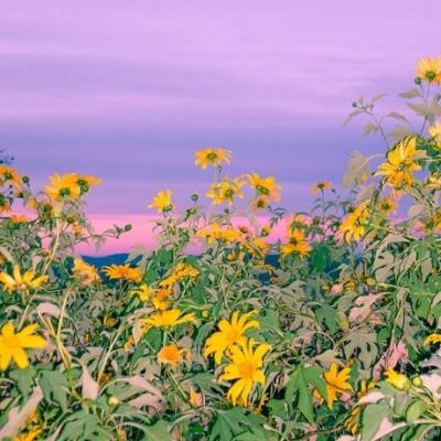 万博max官方入口