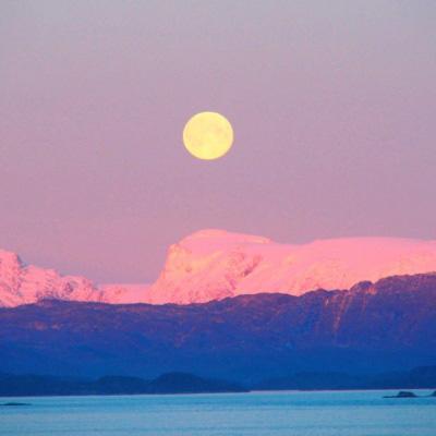 加拿大试玩软件