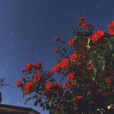 澳门新莆京游戏大厅