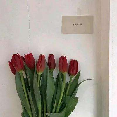 pg娱乐电子游戏