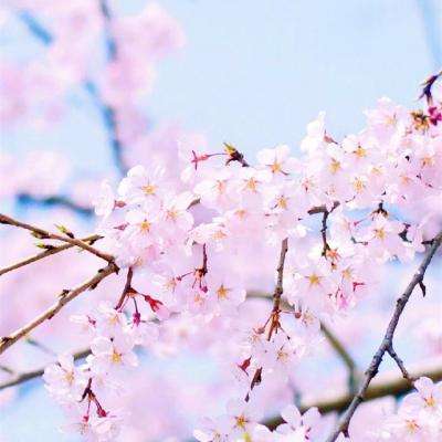 bat365官网登录入口手机app下载