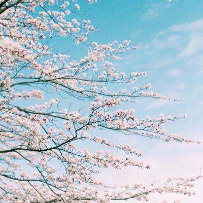 关于“开云电竞APP”