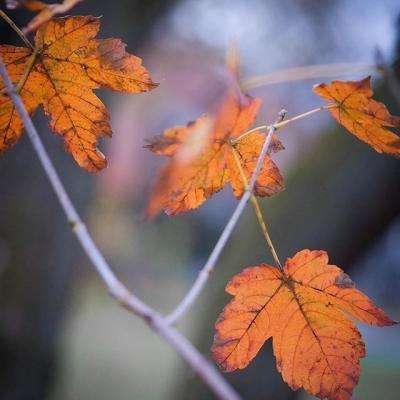 万博manbetx登录手机app下载