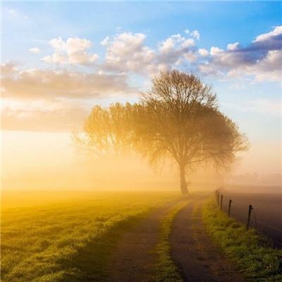 贝博app代言艾弗森